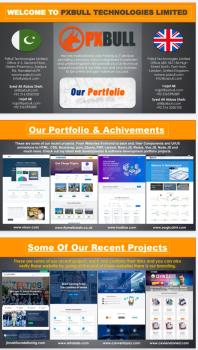 Pxbull-Web Development Company