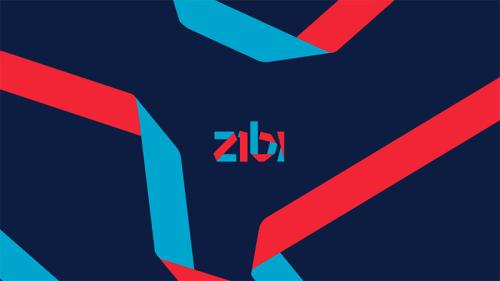 Zibi