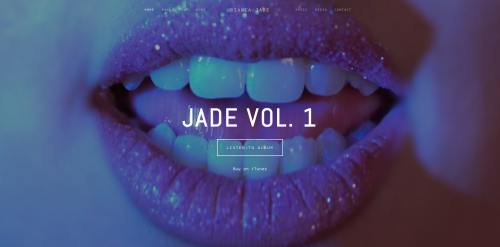 Musician Website