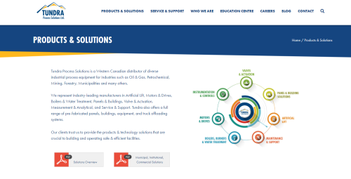 Website Design & Development