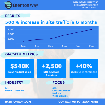 500% Increase in Site Traffic in 6 Months