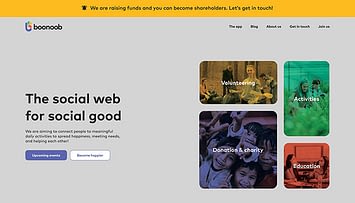 Business website development