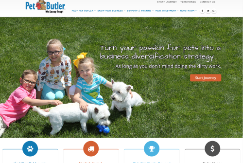 Wordpress Development