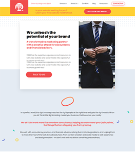 Website Design For Think Little Big