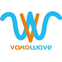 Management consulting - Information Technology