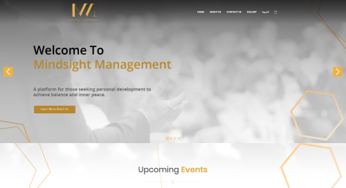 MindSight Management