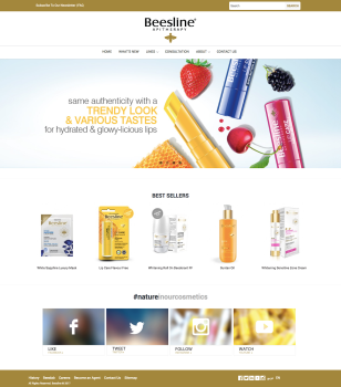 Ecommerce web application development for a Leading Cosmetic Brand of MENA Region
