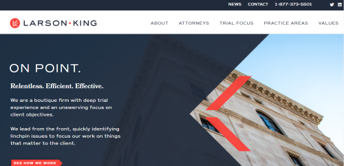 Larsonking - Web Development