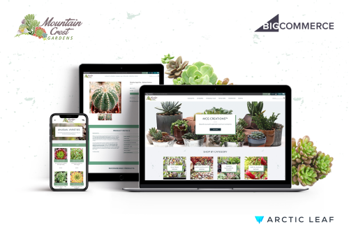 MCG Design und Entwicklung