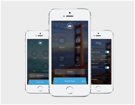 SYNCPLICITY