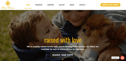 Pom Palace | Pomeranian Puppies For Sale