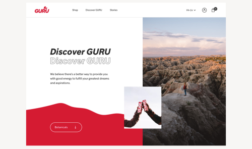 Guru Energy