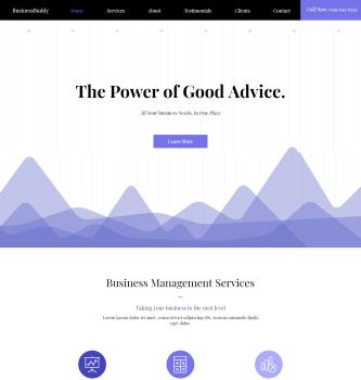 Business Advice Firm