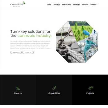 Website Design for Cannabis Industry