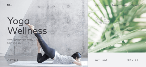 Yoga Wellnes