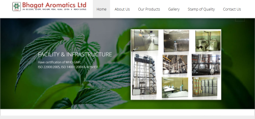 Website Design and Development