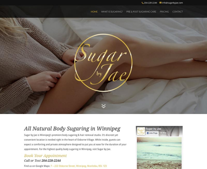 Winnipeg web design for Sugar by Jae