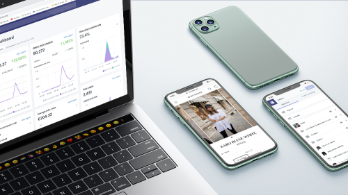 Development of a Shopify store for a leading influencer