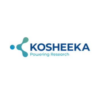Search Engine Optimization