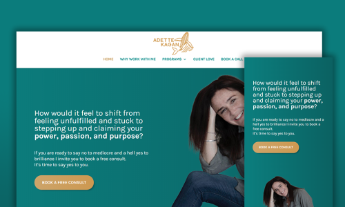 Client Website for Adette Kagan