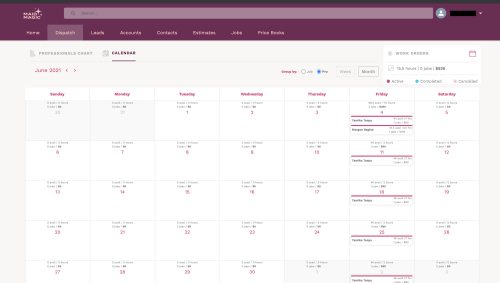 Custom Salesforce Implementation for Cleaning Franchise