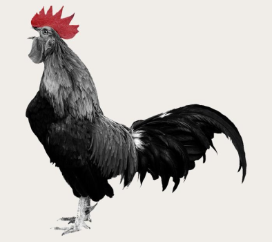 Impact for Breakfast Club