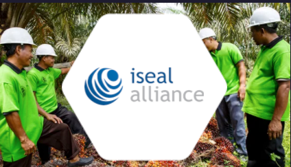 Informing action for a sustainable future