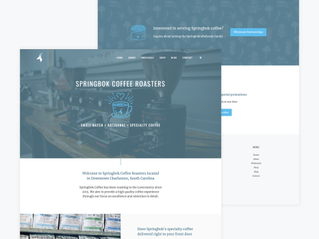 WordPress Design & Development