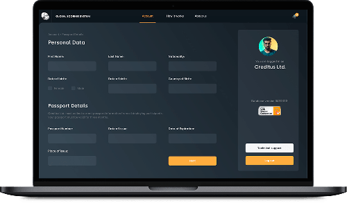 Credit Scoring SaaS App for Financial Organizations