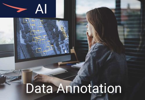 Data Annotation Services