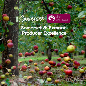 Culinary Showcase Experience