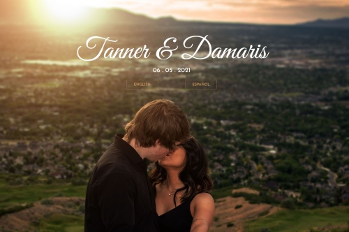 Couple's wedding website