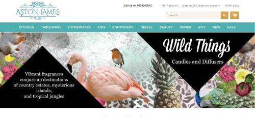 Social Media Management & Advertising