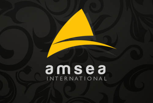 Logo & Branding for Amsea International