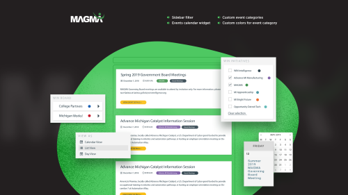 WordPress Plugin Customization