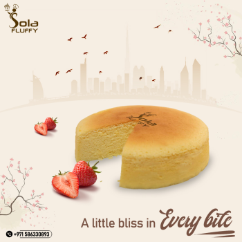 Sola Fluffy Branding