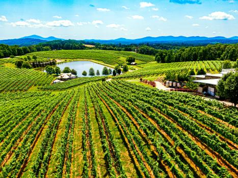 North Georgia Wine Country