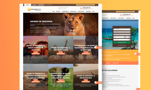 Web Development of Content Management System