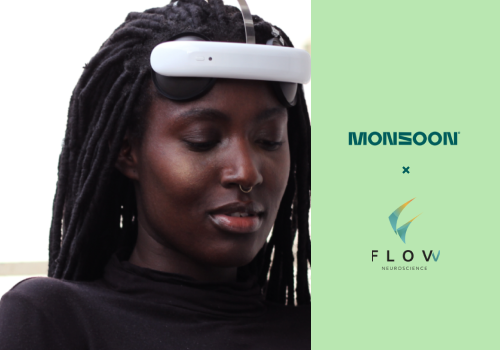 Flow Neuroscience