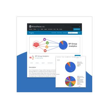 BP Group Analytics : WordPress Plugin