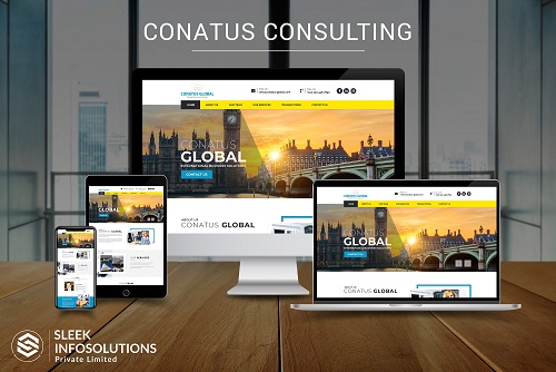 Conatus Consulting