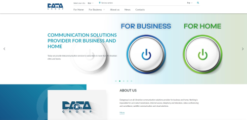 Entwicklung der Website «Data Group»