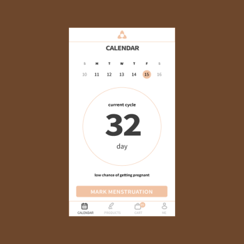 LadyDays Calendar and Shop