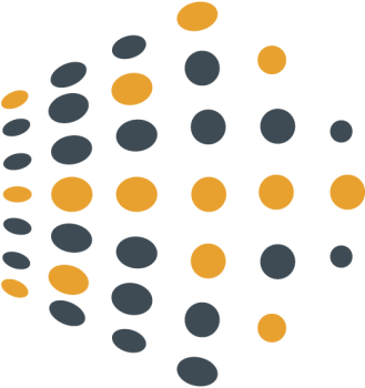 RAN Monitoring Network