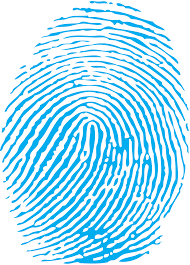 Taking the Data Protection Platform to the Market From MVP to Early-Stage Beta