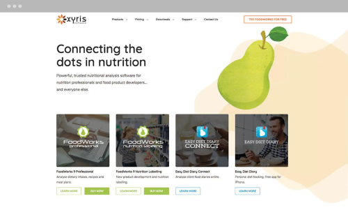 XYRIS ECOMMERCE WEB DESIGN CUSTOM ILLUSTRATION