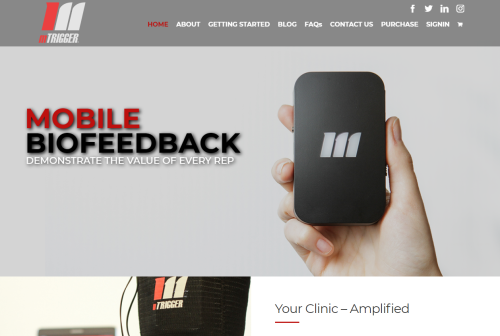 Mtrigger.com - Wordpress Design and Development