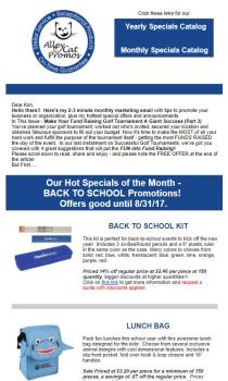 Branded Email Newsletter