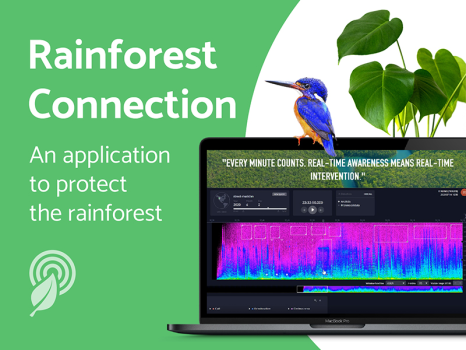 Rainforest Connection: IoT web app