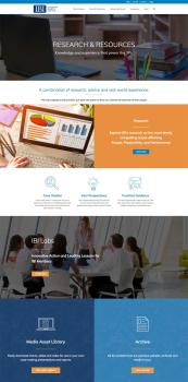 Custom WordPress Web Design - IBI